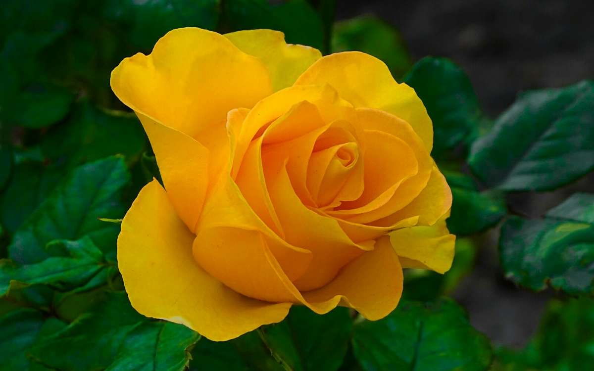 ��������� ���� ����� �������� �������� �� PhotoGeek.ru #����� #�����