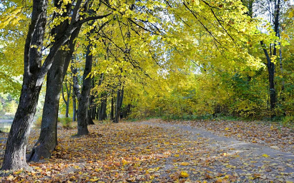 ������� ����� ����� �������� �������� �� PhotoGeek.ru #����� #������ ��� �������