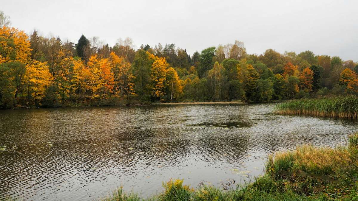 ����� - ������� ����� �������� �������� �� PhotoGeek.ru #������ ��� �������