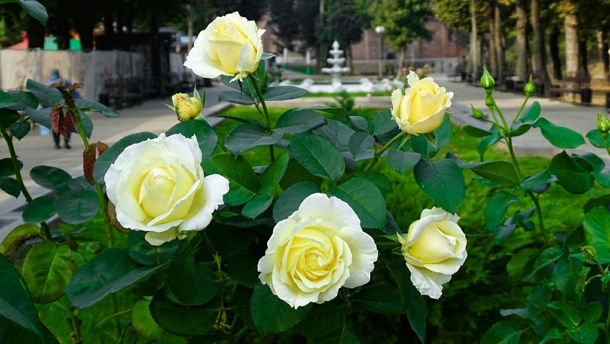 ���� � ������� ����. ����� �������� �������� �� PhotoGeek.ru #����� #����� #������ ��� �������