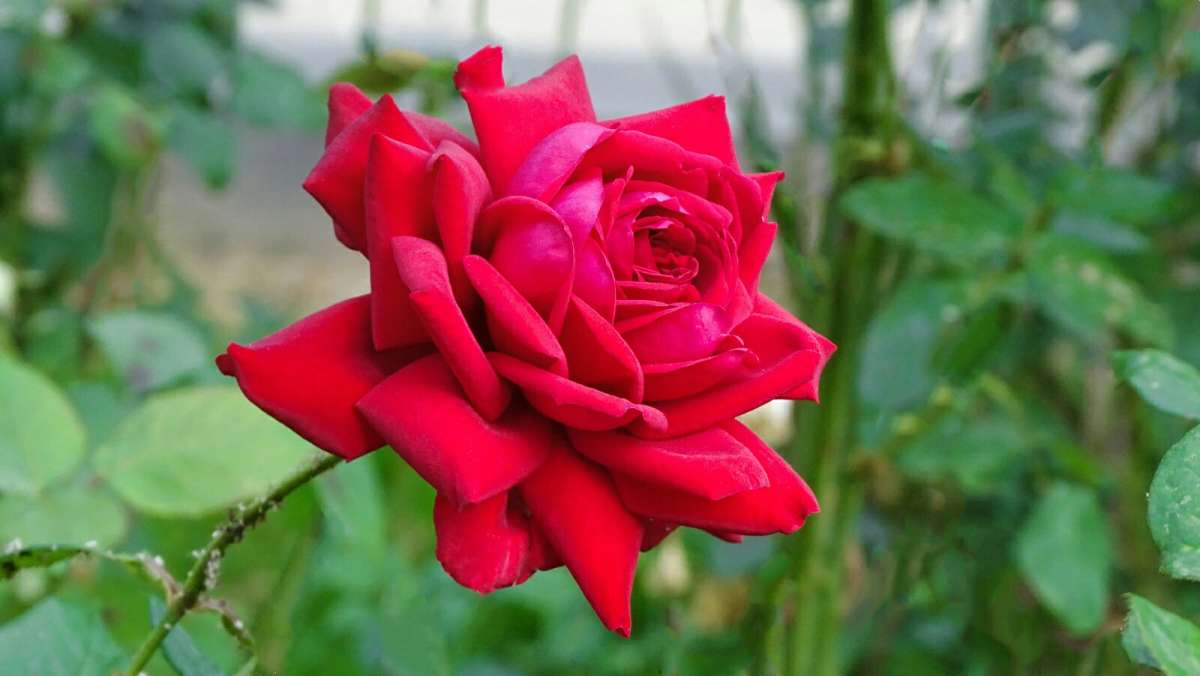 ���� � ����� �������� ����� �������� �������� �� PhotoGeek.ru #����� #�����