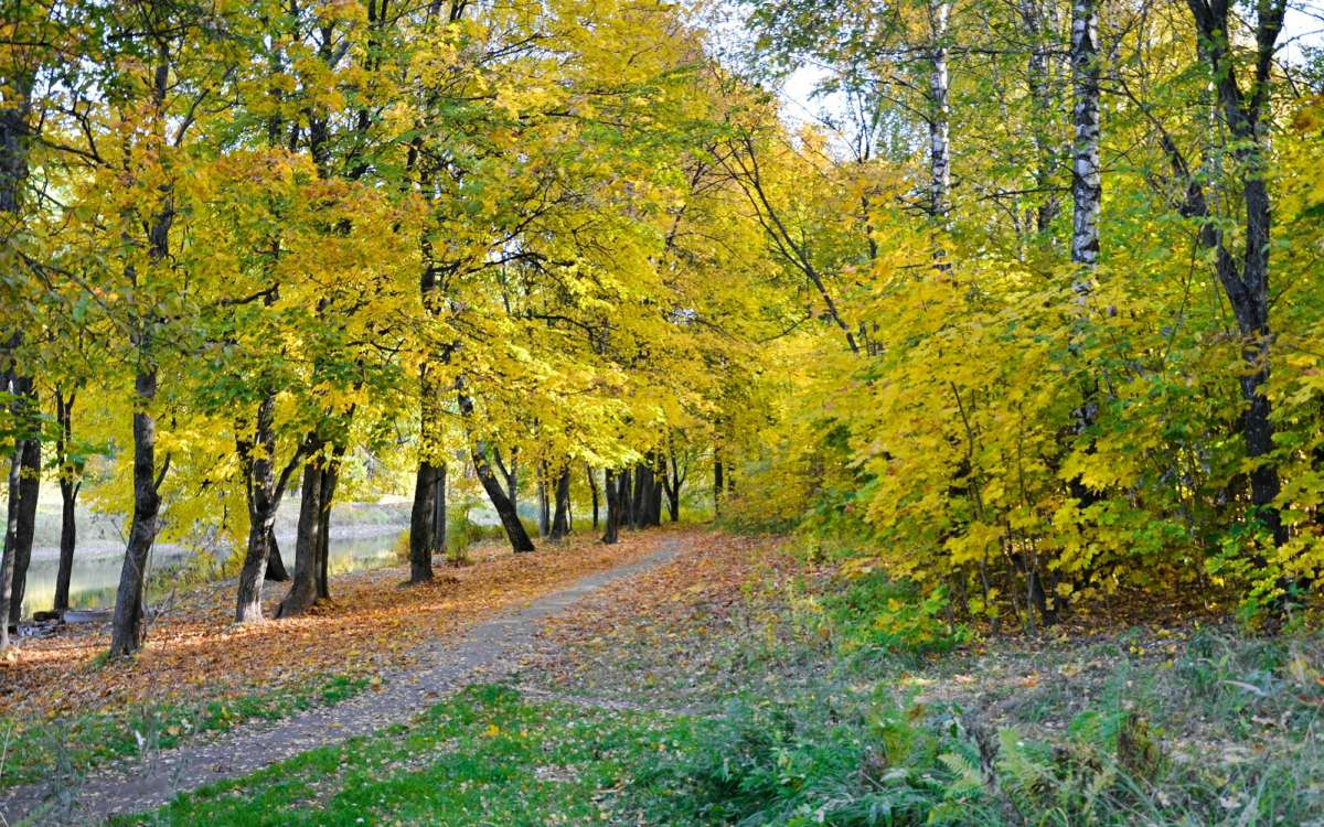 ����� ������� ����� �������� �������� �� PhotoGeek.ru #����� #������ ��� �������