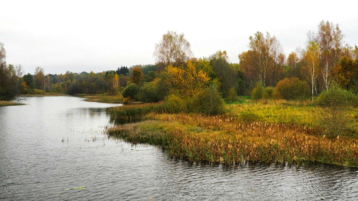 ����� � ������� ����� �������� �������� �� PhotoGeek.ru #������ ��� �������