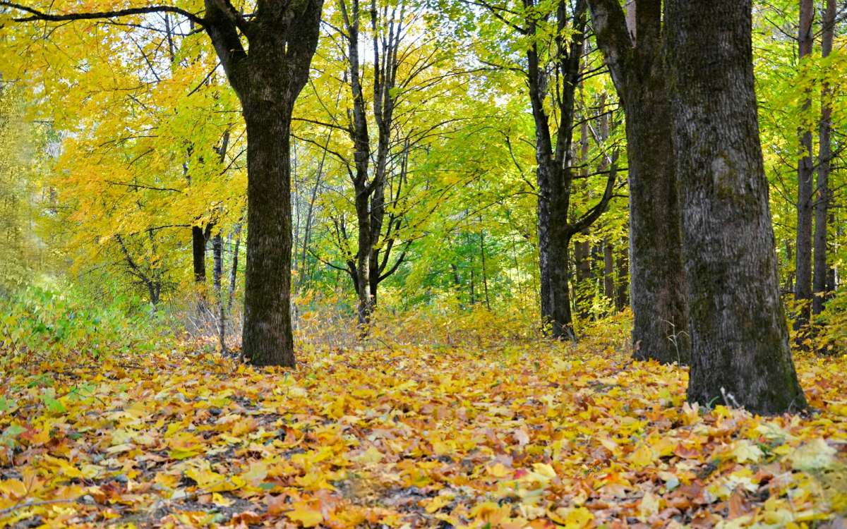 ����� ������� ����� �������� �������� �� PhotoGeek.ru #����� #������ ��� �������