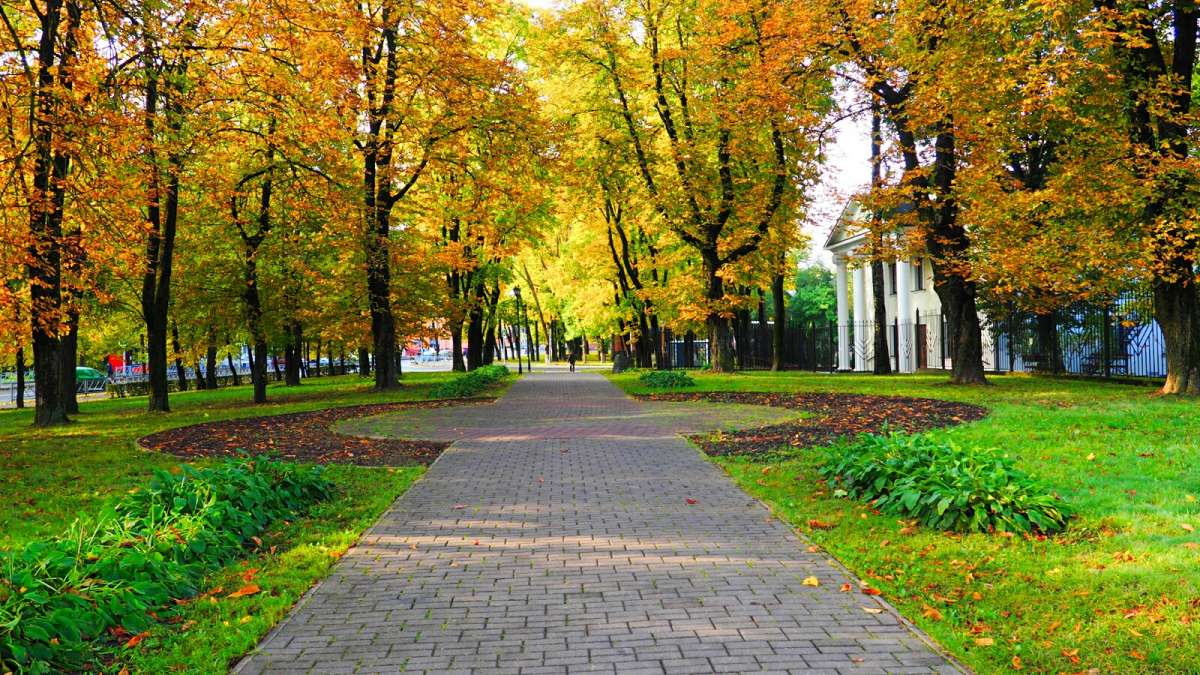 ������� ����� � ������. ����� �������� �������� �� PhotoGeek.ru #����� #������ ��� �������