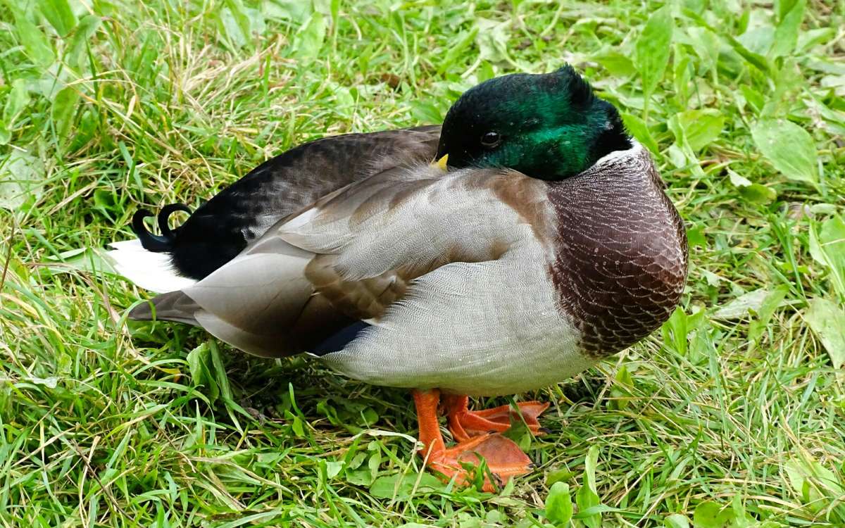 ������������ ������ ������� ���������. ����� �������� �������� �� PhotoGeek.ru #����� #�������� ���