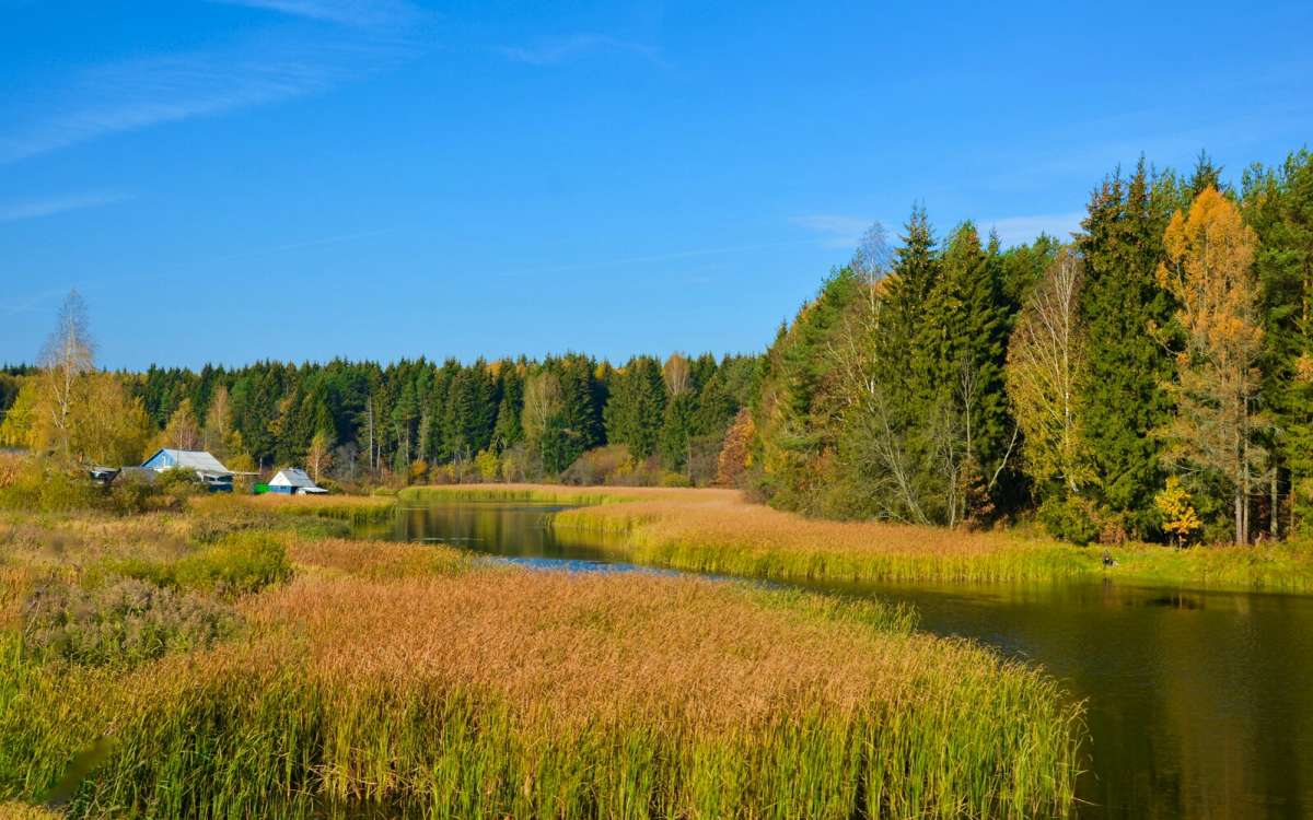 ������� �� ���������� ����� �������� �������� �� PhotoGeek.ru #������ ��� �������