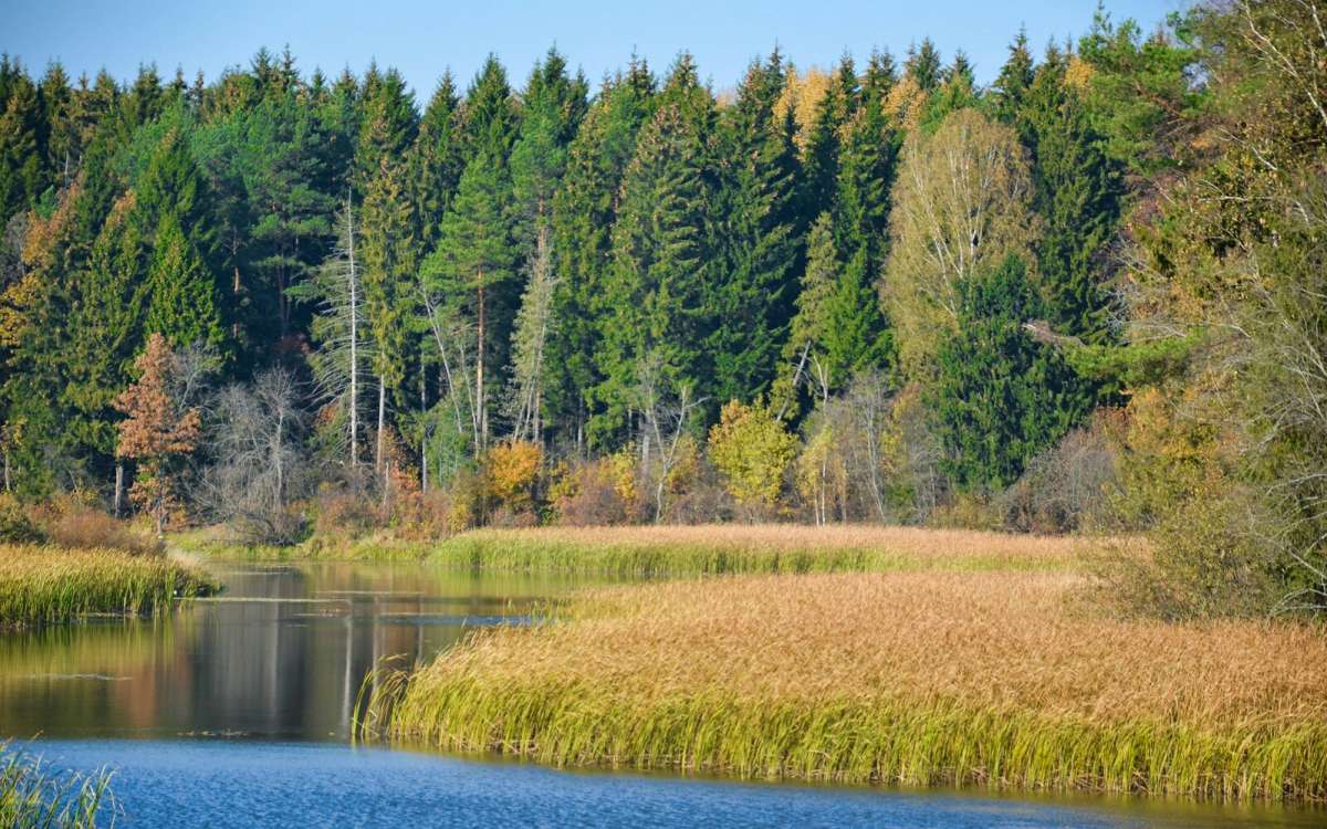 ������� ���� �� ���������� ����� �������� �������� �� PhotoGeek.ru #������ ��� �������