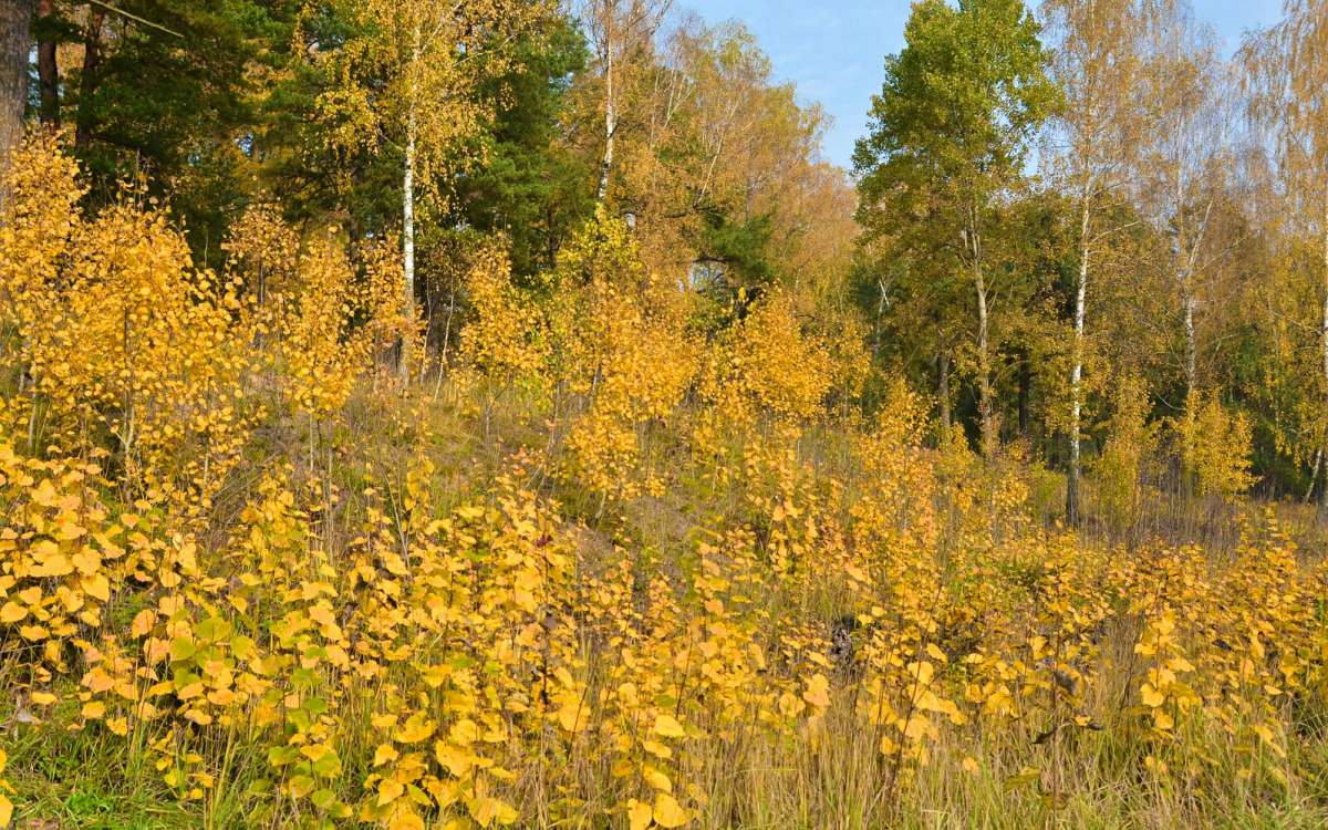 ����� ������� ����� �������� �������� �� PhotoGeek.ru #������ ��� �������