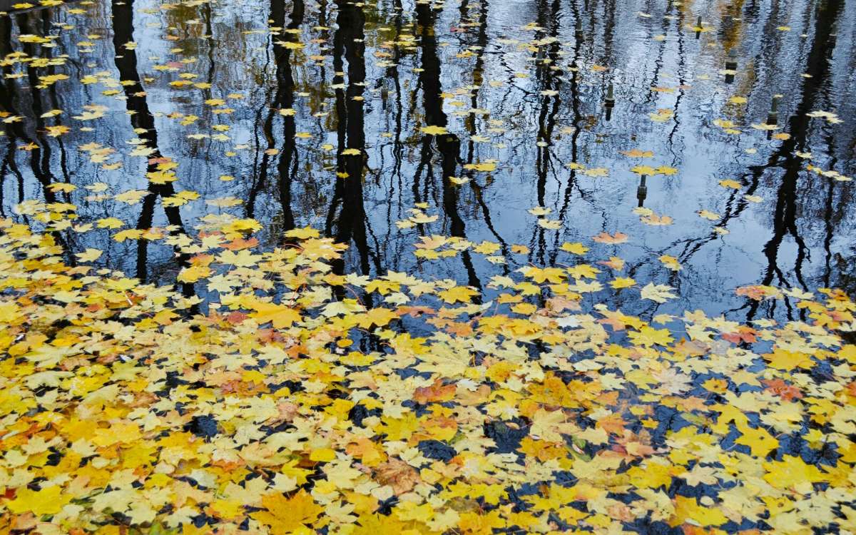 �������� ����� ����� �������� �������� �� PhotoGeek.ru #����� #����� #������ ��� �������