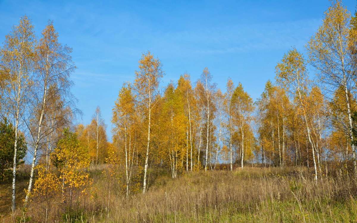 ������ �������. ����� �������� �������� �� PhotoGeek.ru #������ ��� �������