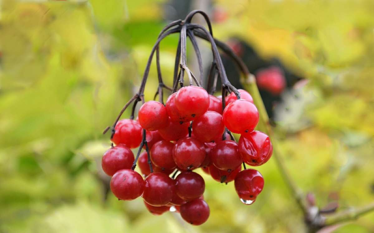 ������ ������� � ������� ����� �������� �������� �� PhotoGeek.ru #�����