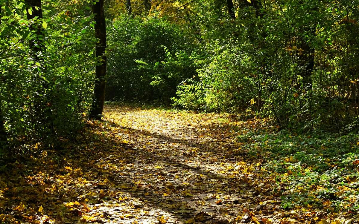 ������� ����. ����� �������� �������� �� PhotoGeek.ru #����� #������ ��� �������