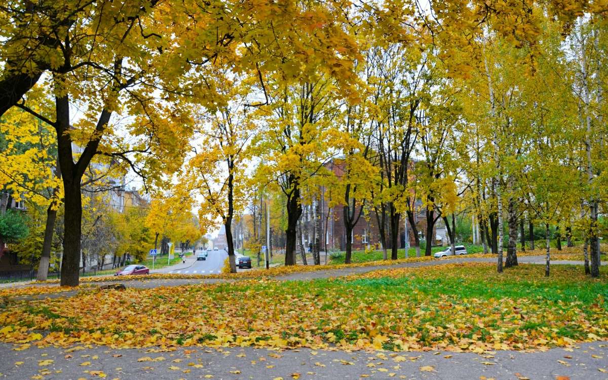 ������� ����� ����� �������� �������� �� PhotoGeek.ru #����� #������ ��� �������