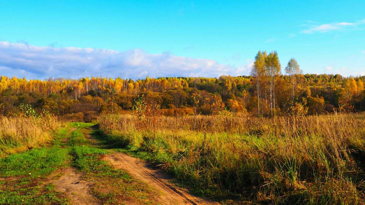 ������� ����� �������� �������� �� PhotoGeek.ru #������ ��� �������