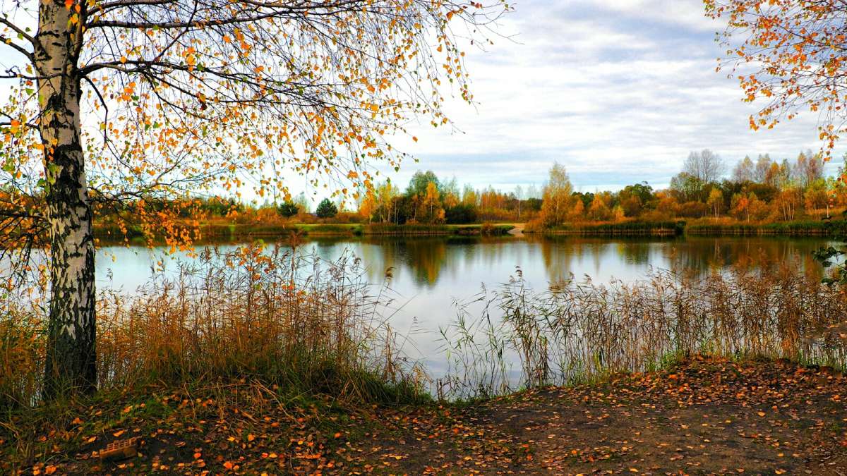 ������� ����� �������� �������� �� PhotoGeek.ru #������ ��� �������