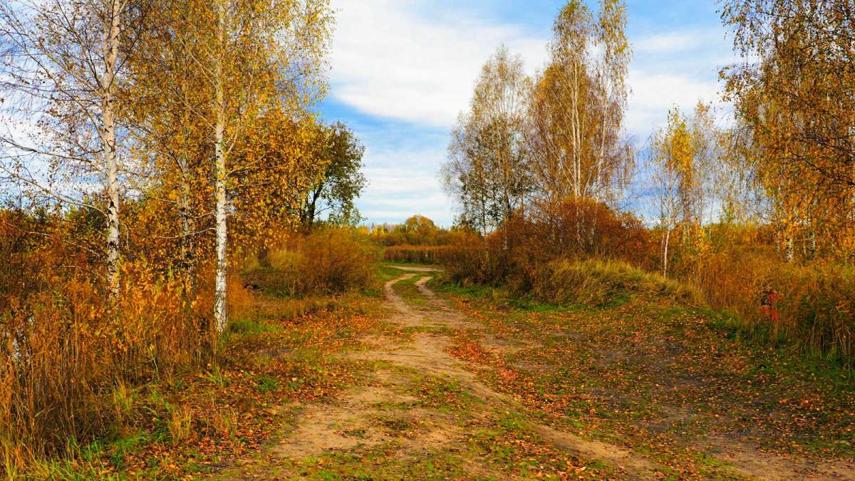 ������� ����� ������������ ����� �������� �������� �� PhotoGeek.ru #������ ��� �������