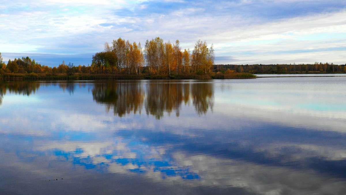 ������� ����� ����� �������� �������� �� PhotoGeek.ru #������ ��� �������