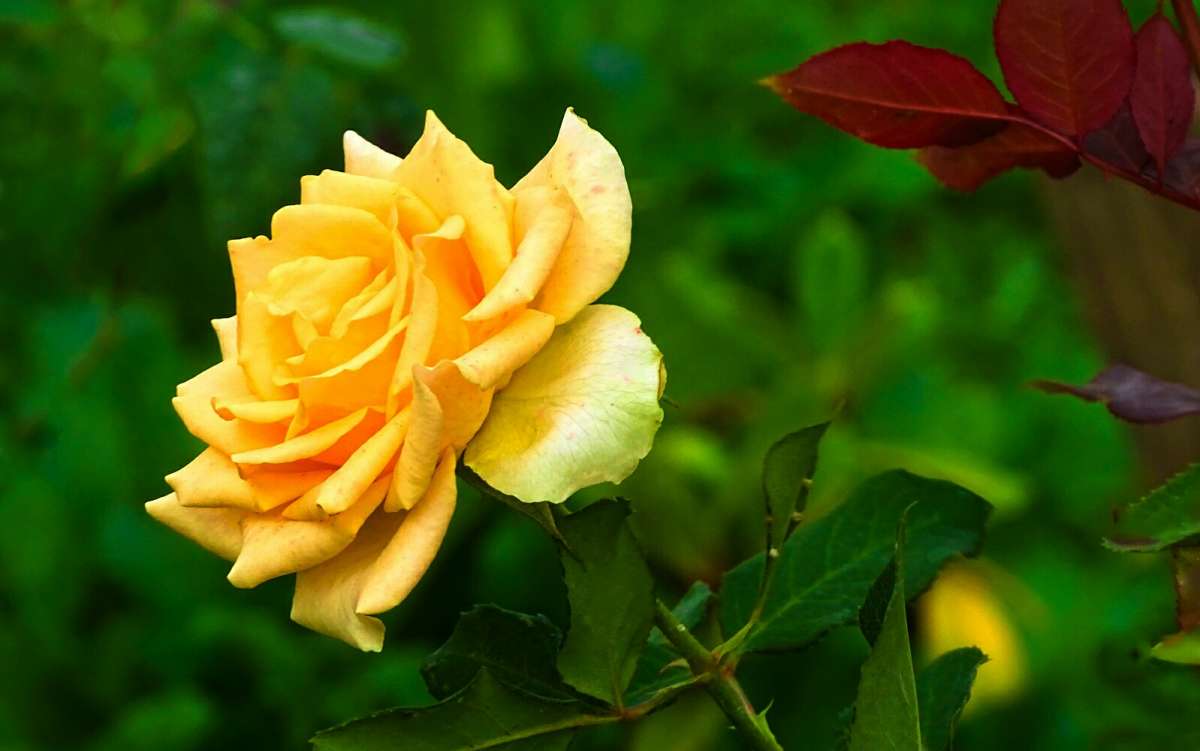 ���� � ������� ����� �������� �������� �� PhotoGeek.ru #����� #�����