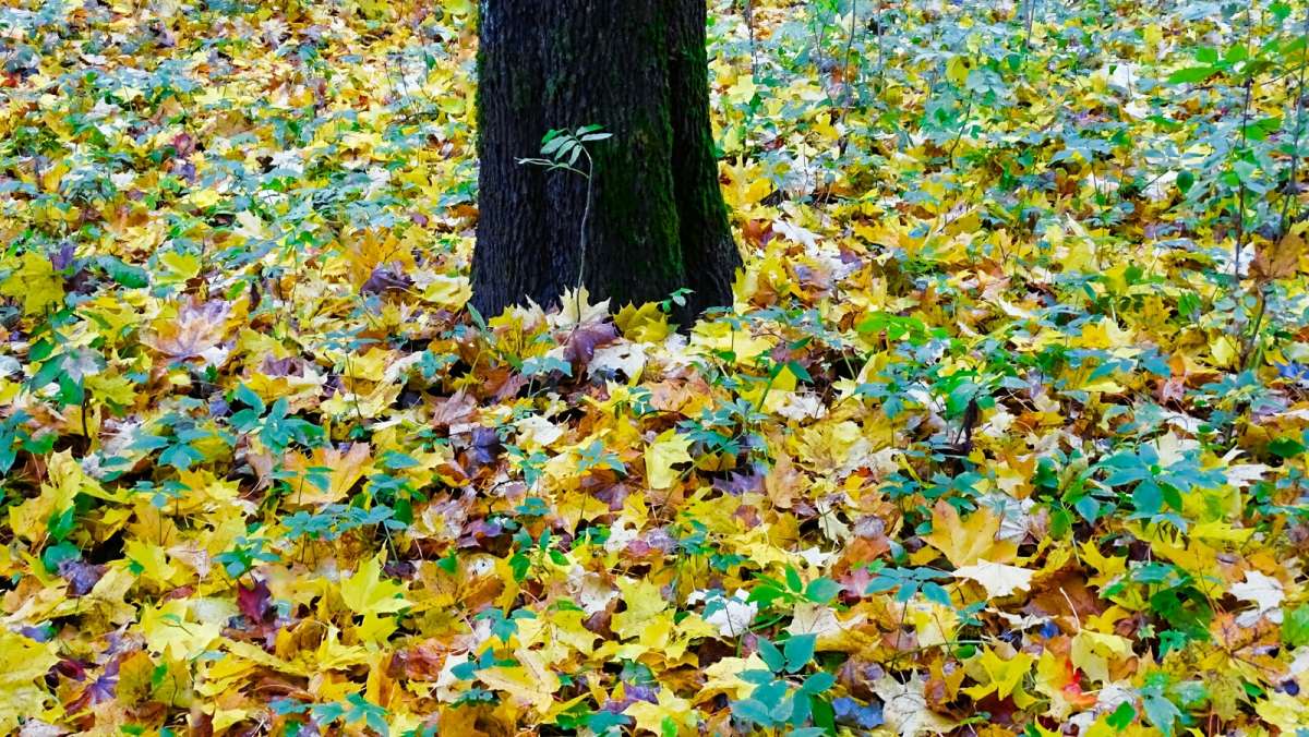 ���� �������� - ������ ���������!! ����� �������� �������� �� PhotoGeek.ru #����� #����� #������ ��� �������