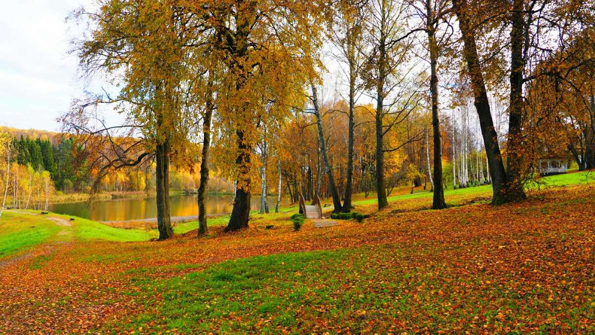 ������� ����� ����� �������� �������� �� PhotoGeek.ru #������ ��� �������