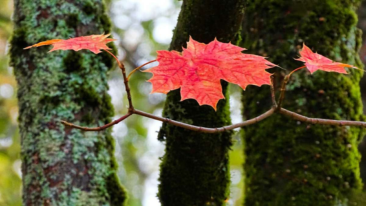 ��� ����� ����� �������� �������� �� PhotoGeek.ru #�����