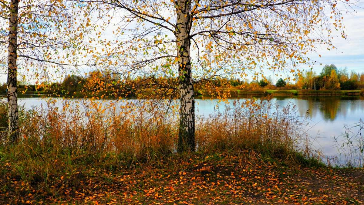 ����� � ������� ������. ����� �������� �������� �� PhotoGeek.ru #������ ��� �������