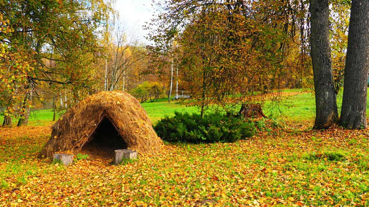 ����� �� ������� ����� ����� �������� �������� �� PhotoGeek.ru #������ ��� �������