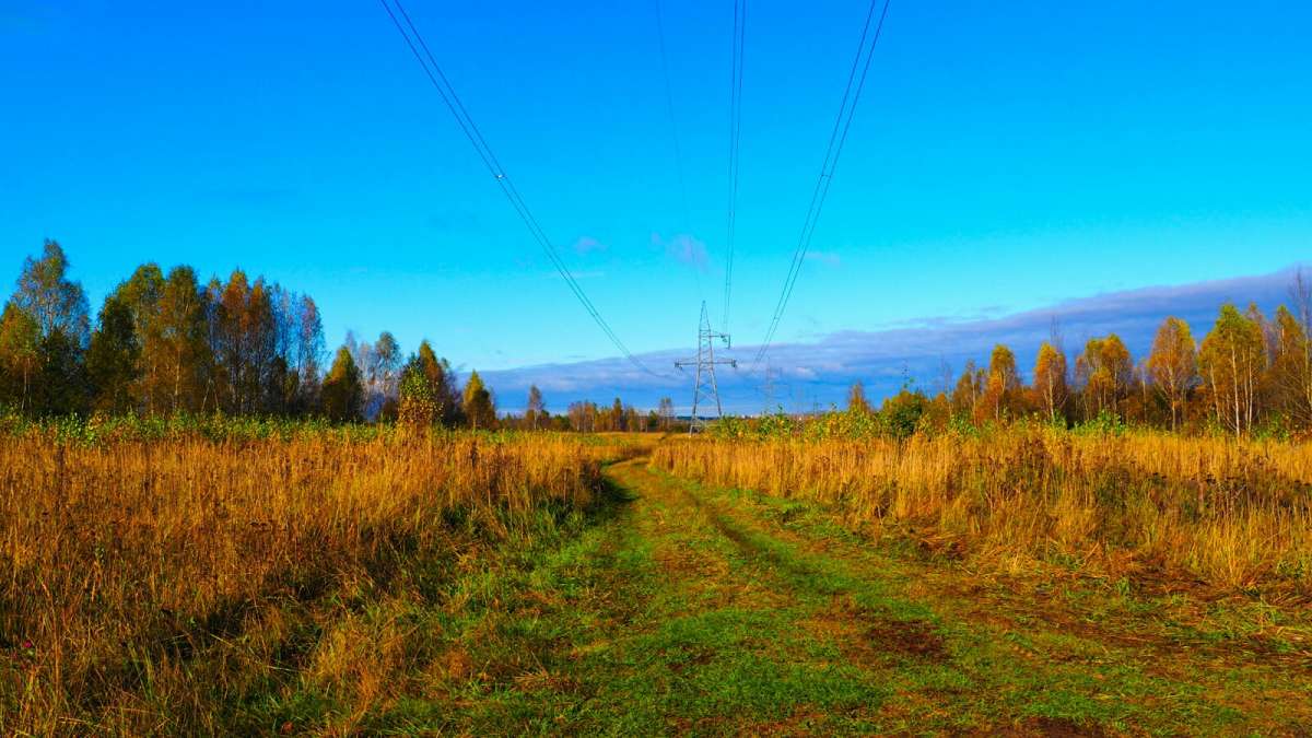 "����" ������� ���� ����� �������� �������� �� PhotoGeek.ru #������ ��� �������