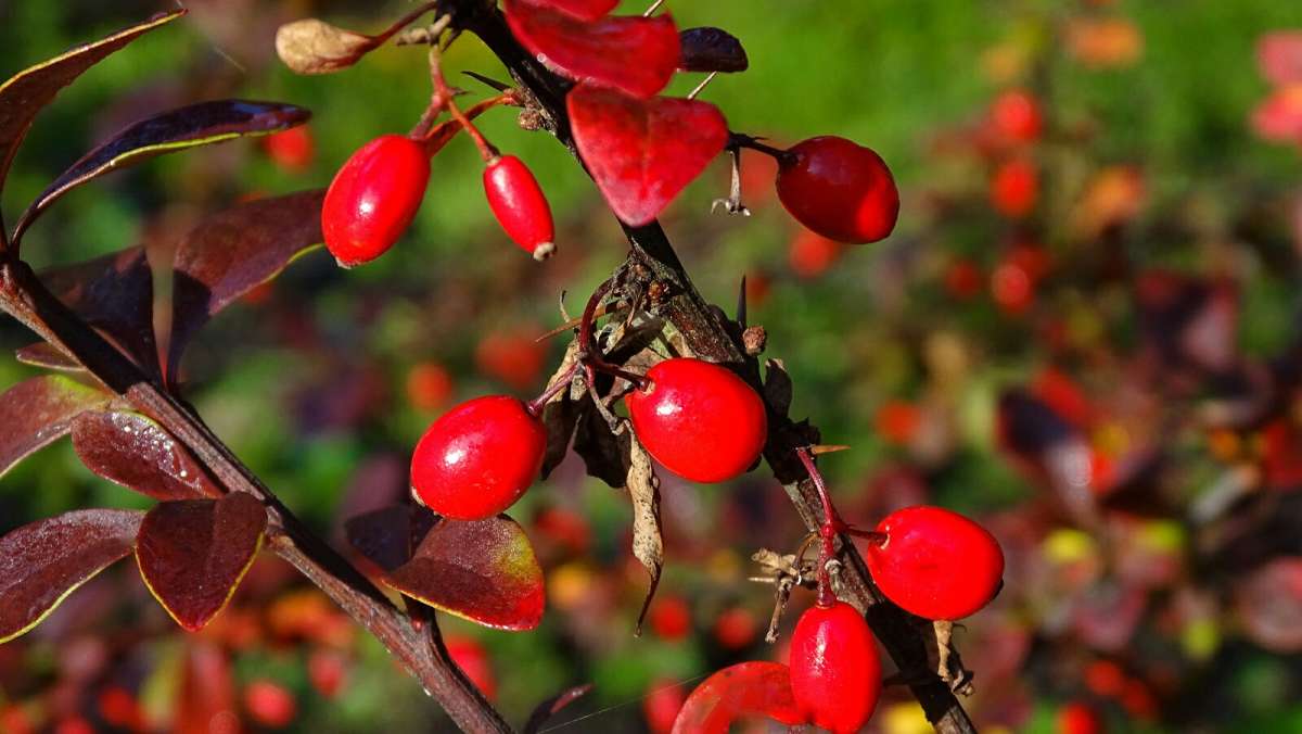 �����  ��������� ����� �������� �������� �� PhotoGeek.ru #����� #������ ��� �������