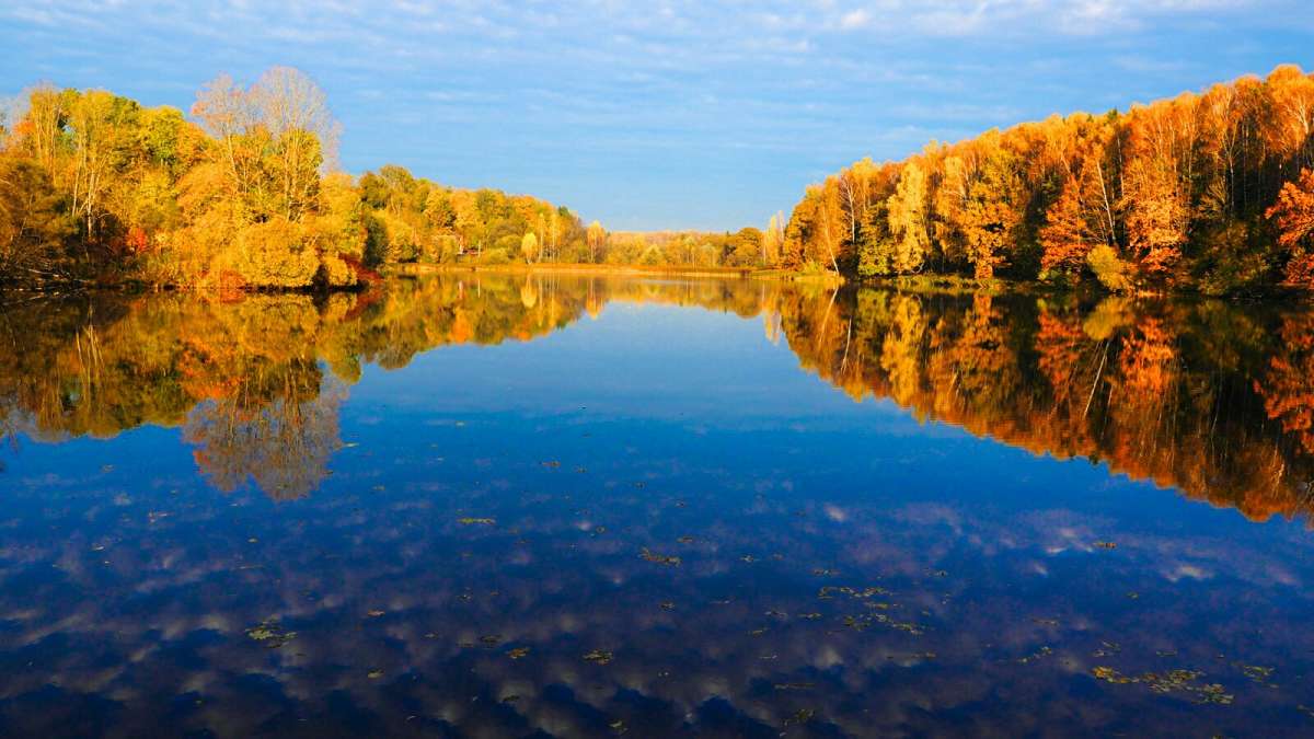 ������� ����� ����� �������� �������� �� PhotoGeek.ru #������ ��� �������