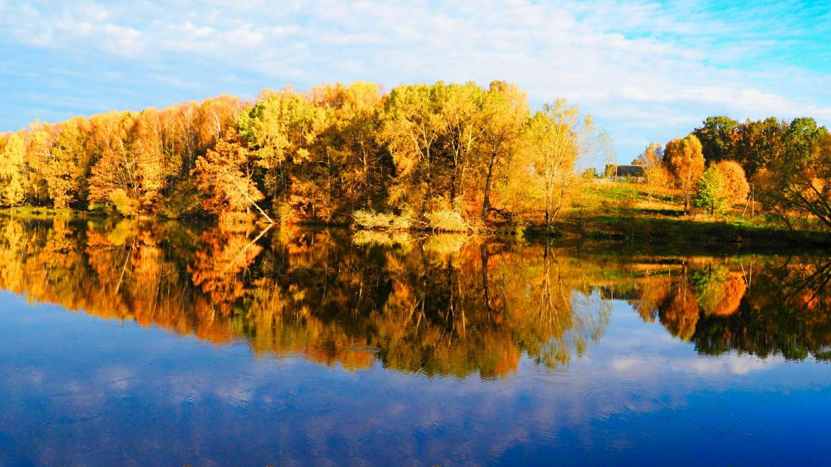 ����� � ���������� ��������� ����� �������� �������� �� PhotoGeek.ru #������ ��� �������