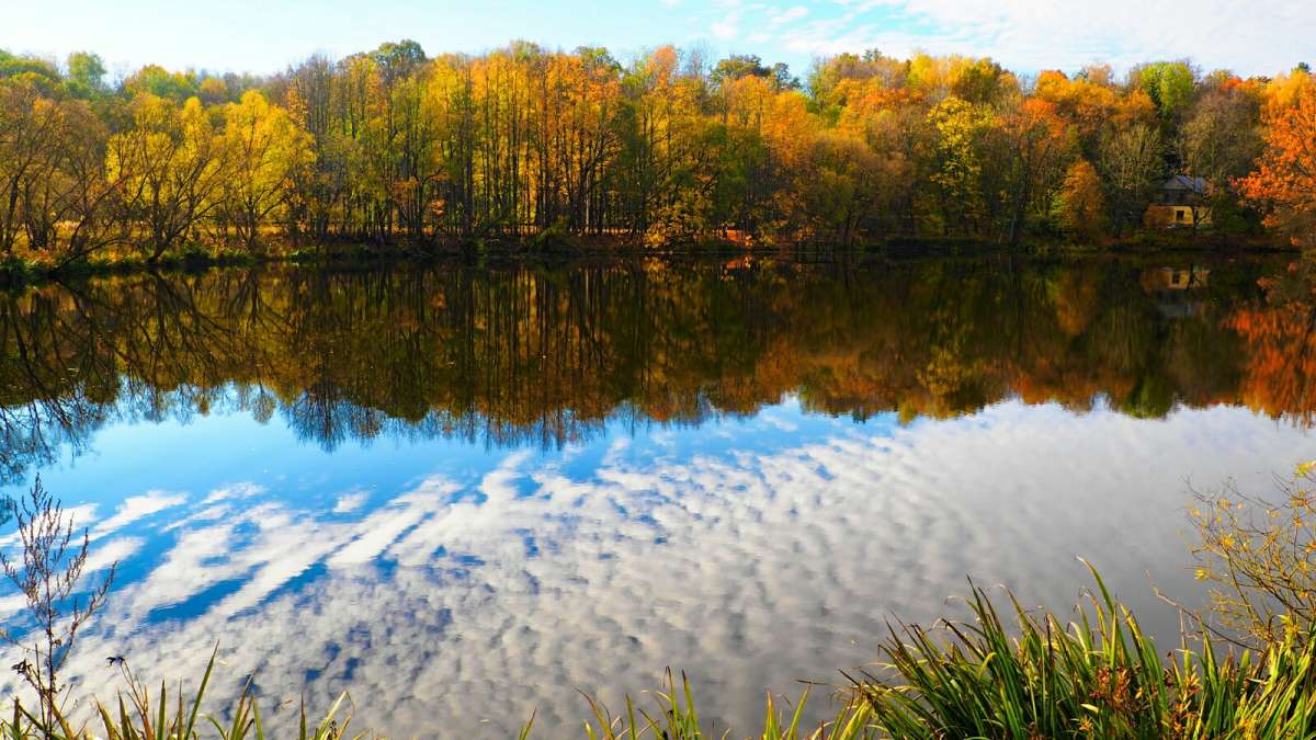 ���� � ����� �������. ����� �������� �������� �� PhotoGeek.ru #������ ��� �������