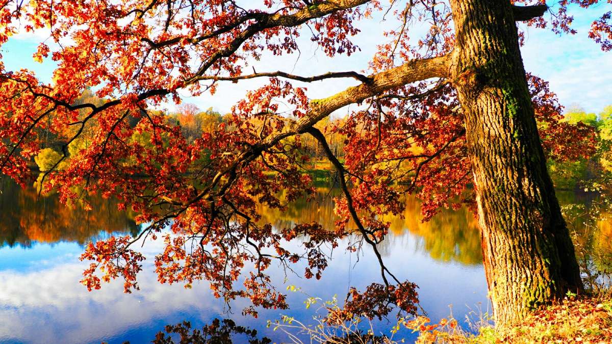 �������� ����� �������. ����� �������� �������� �� PhotoGeek.ru #����� #������ ��� �������