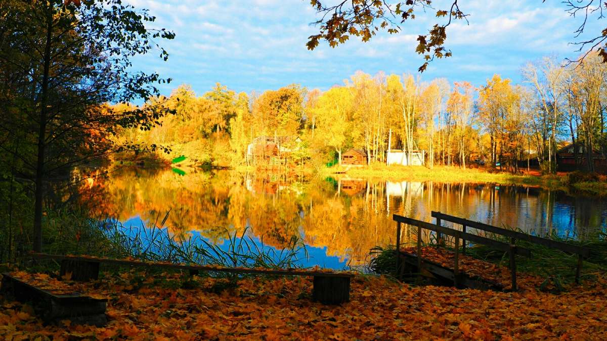 ������� ����� ��������. ����� �������� �������� �� PhotoGeek.ru #������ ��� �������