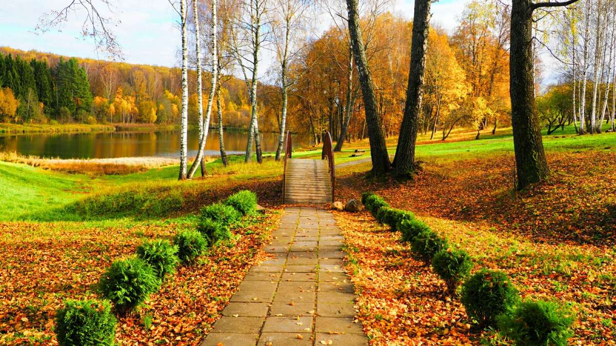 ������� ������ ����� �������� �������� �� PhotoGeek.ru #������ ��� ������� #�����������