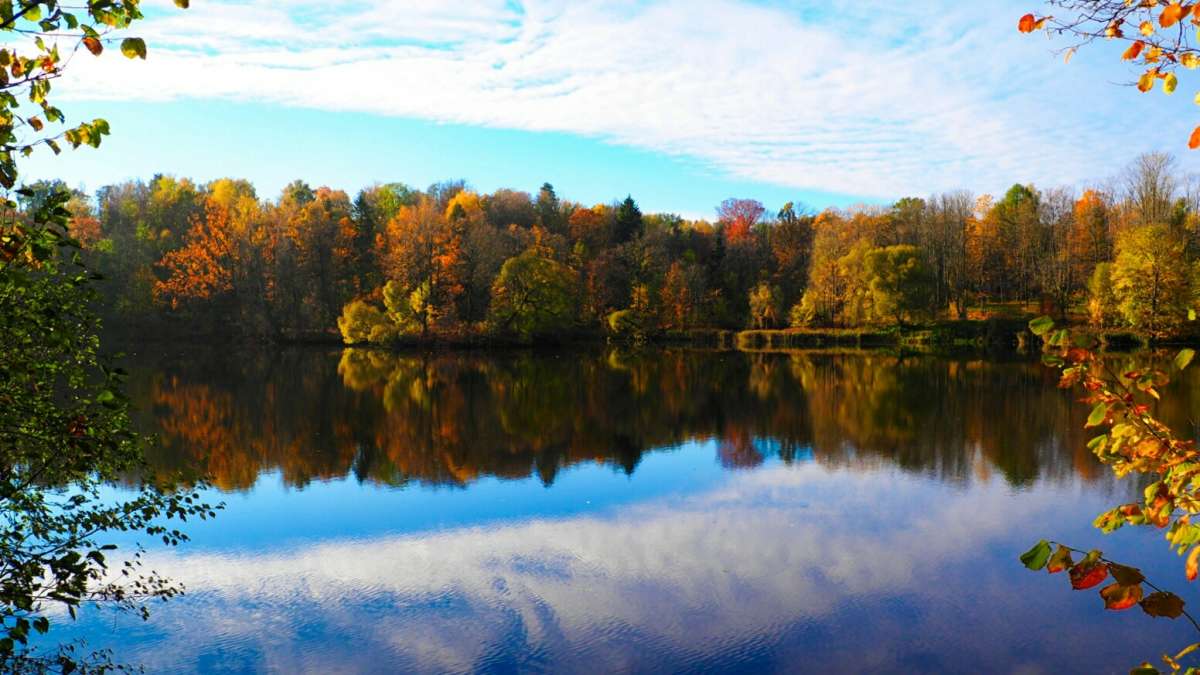 ������ ����� ����� ����� �������� �������� �� PhotoGeek.ru #������ ��� �������