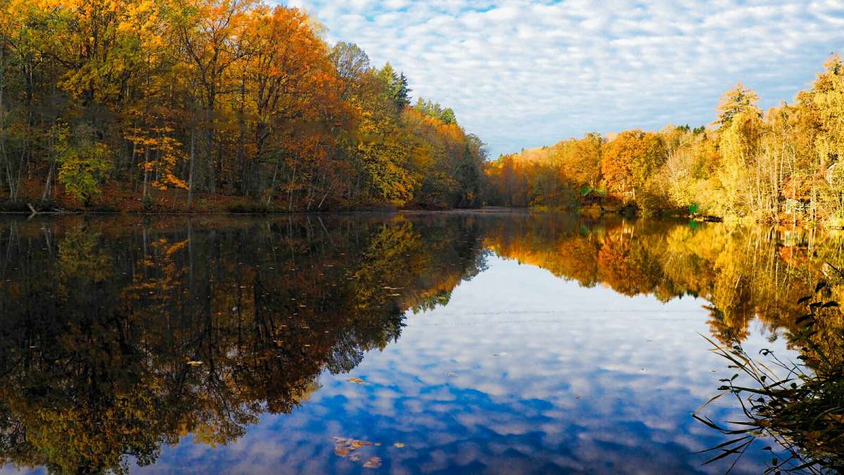 ��� ����� �������. ����� �������� �������� �� PhotoGeek.ru #������ ��� �������