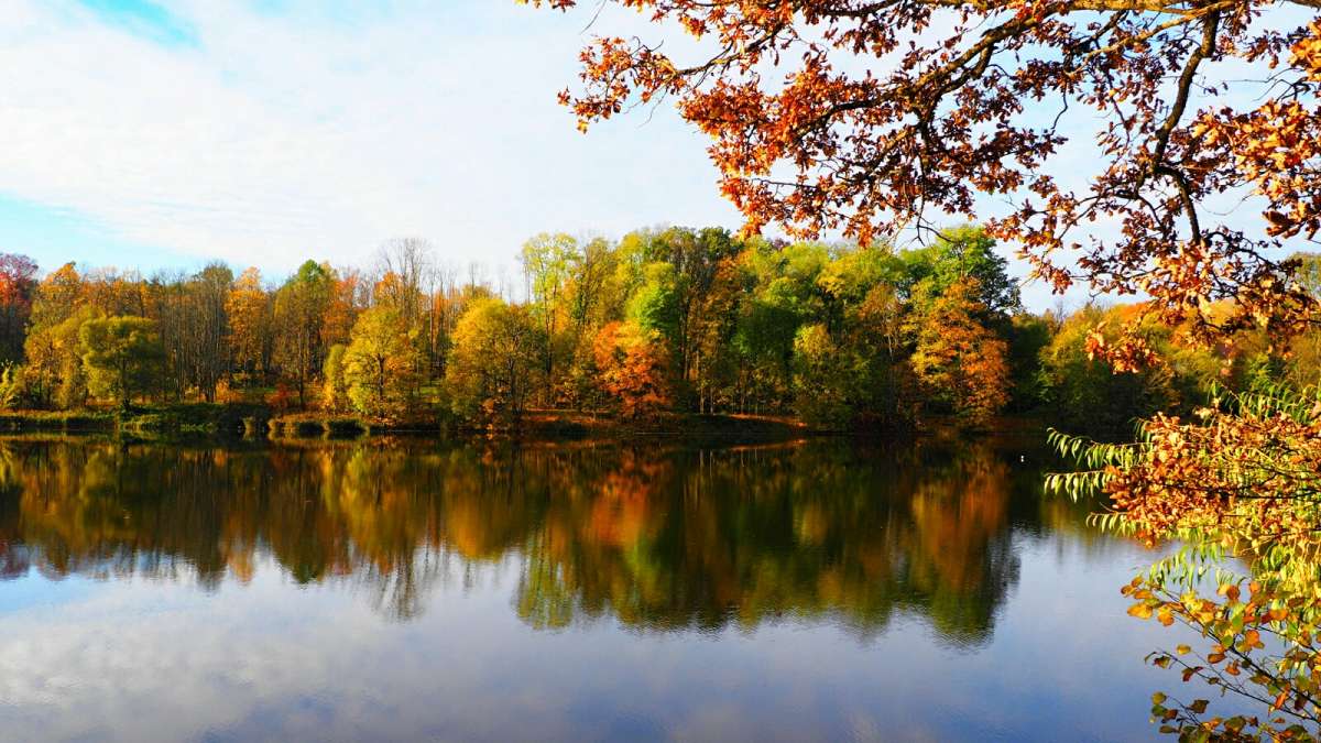 ������� ����� �������� �������� �� PhotoGeek.ru #������ ��� �������