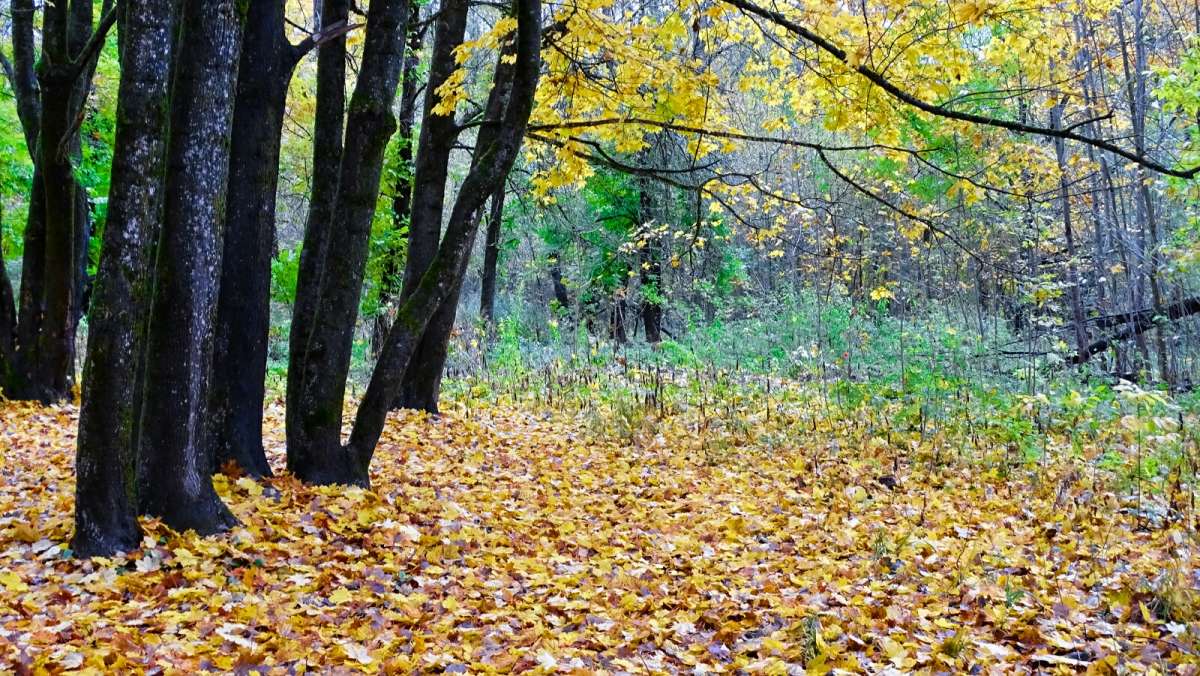 ����� � ��������� ����� ����� �������� �������� �� PhotoGeek.ru #����� #������ ��� �������