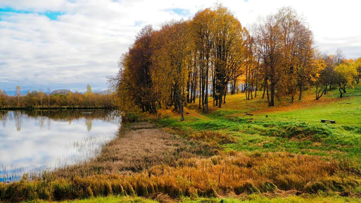 �������� ������� �� ����������. ����� �������� �������� �� PhotoGeek.ru #������ ��� �������