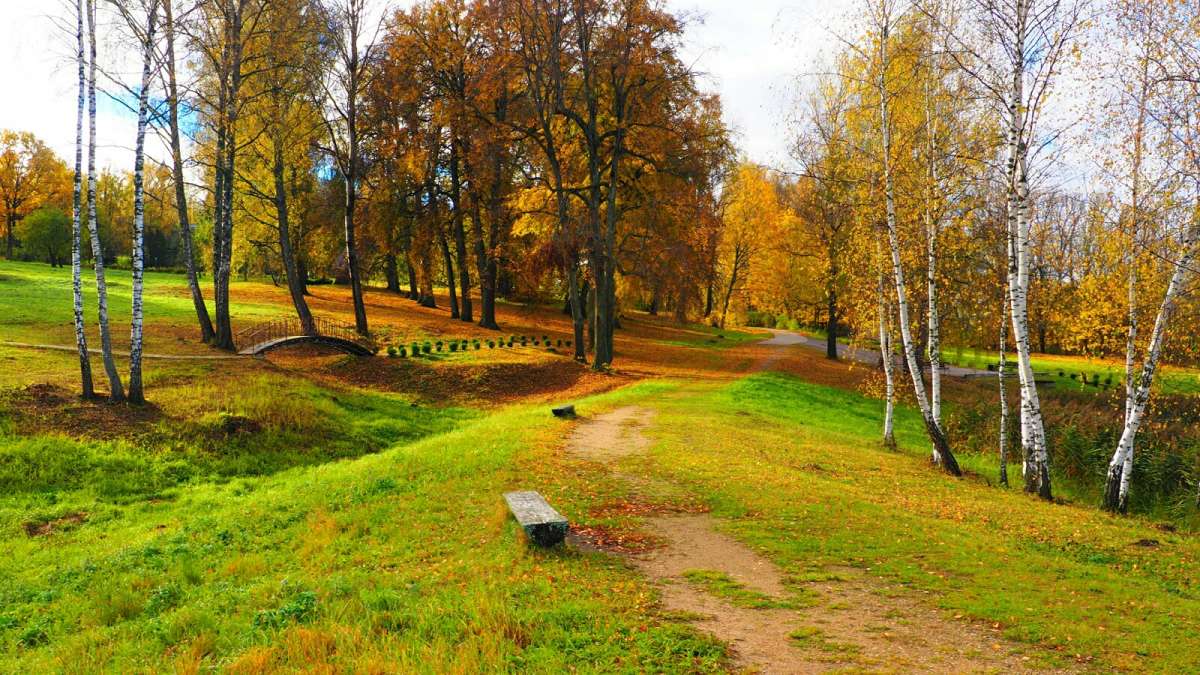 �������� ������� �����. ����� �������� �������� �� PhotoGeek.ru #������ ��� �������