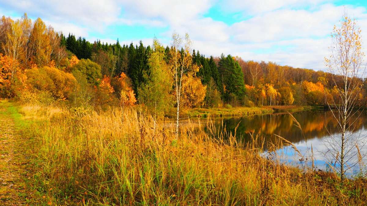 ������� ����� ���� ����� �������� �������� �� PhotoGeek.ru #������ ��� �������