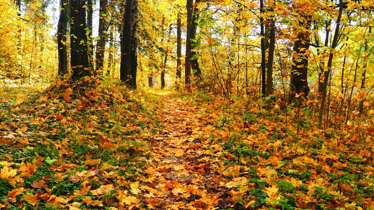 ������� �� ������� ����� �������� �������� �� PhotoGeek.ru #������ ��� �������