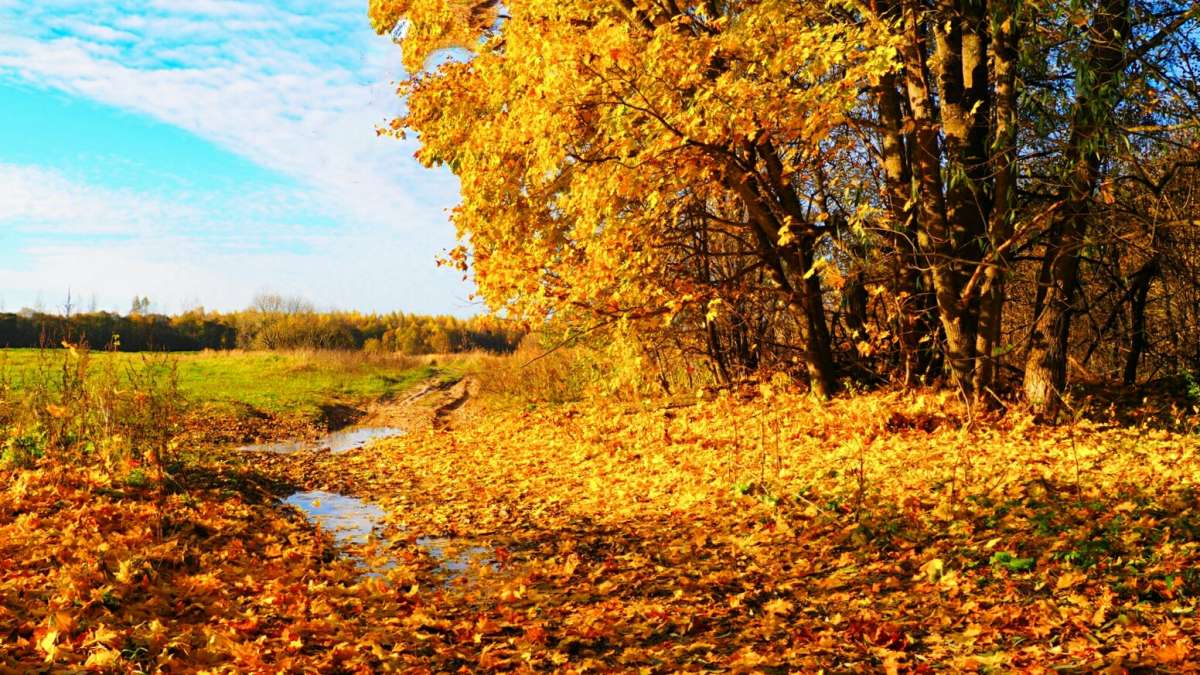 ��� ����� ����� �������� �������� �� PhotoGeek.ru #������ ��� �������