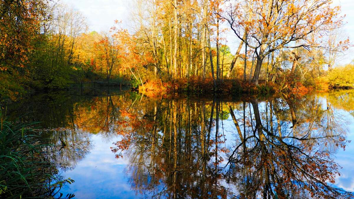 ���������� ��������� ������� �������� ����� �������� �������� �� PhotoGeek.ru #������ ��� �������