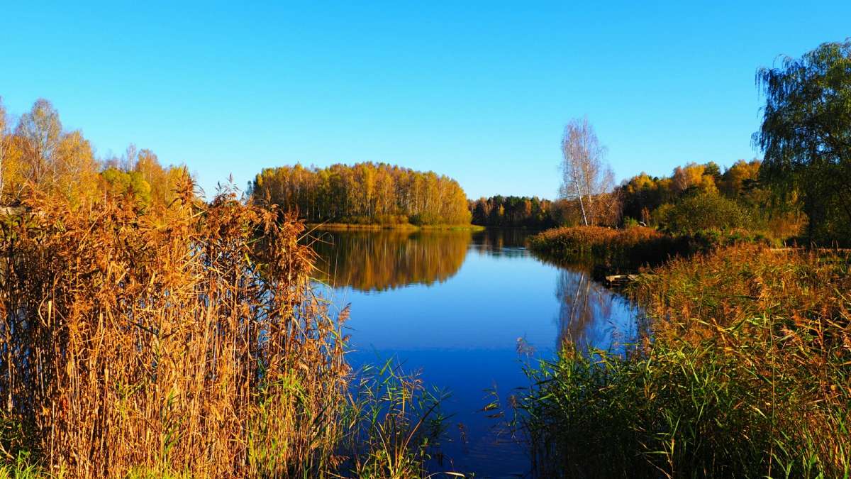 ������ ������� ������� ����� �������� �������� �� PhotoGeek.ru #������ ��� �������