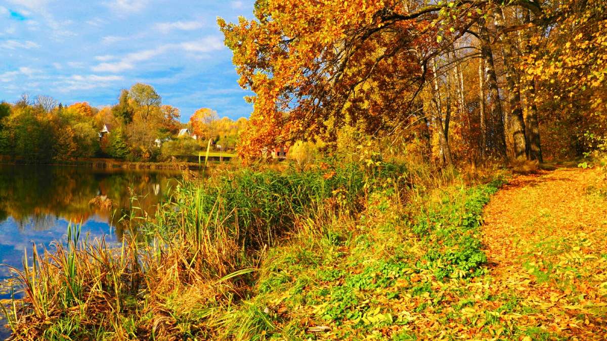 ����� ������� ����� �������� �������� �� PhotoGeek.ru #������ ��� �������