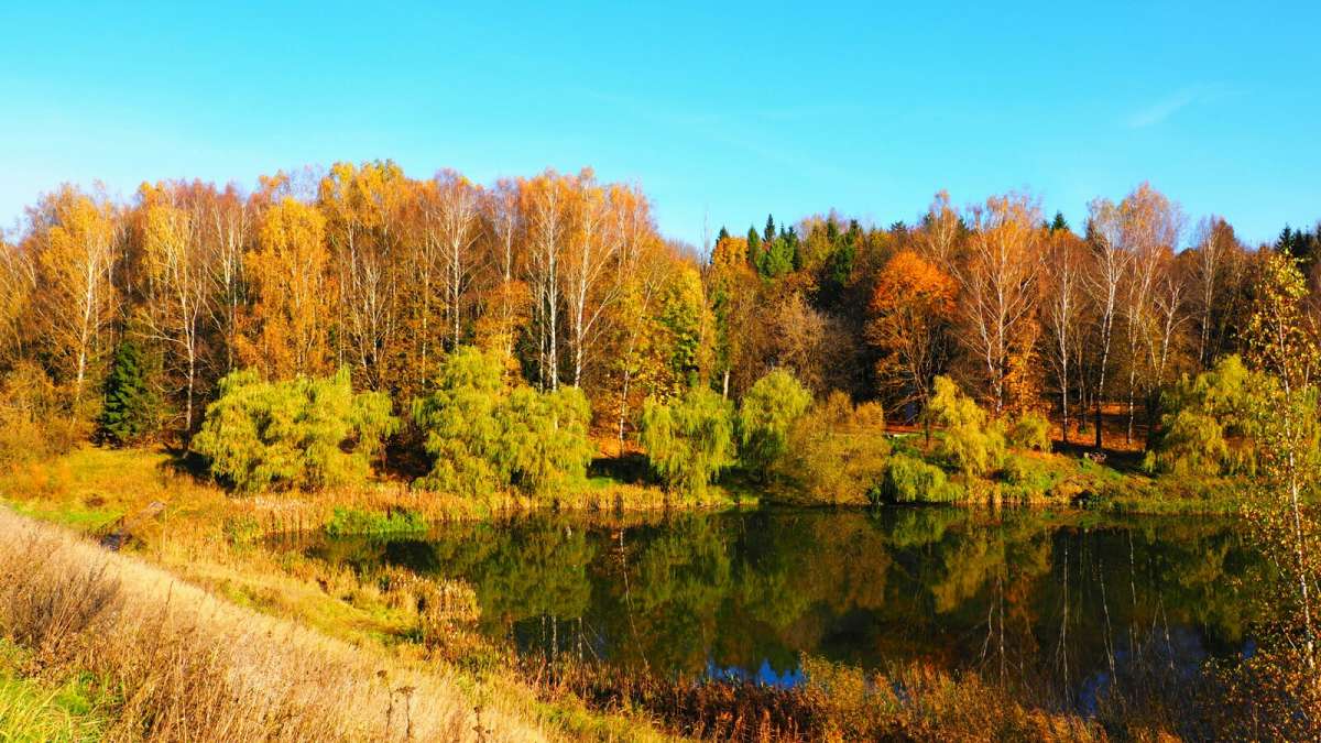 ������� ����. ����� �������� �������� �� PhotoGeek.ru #������ ��� �������