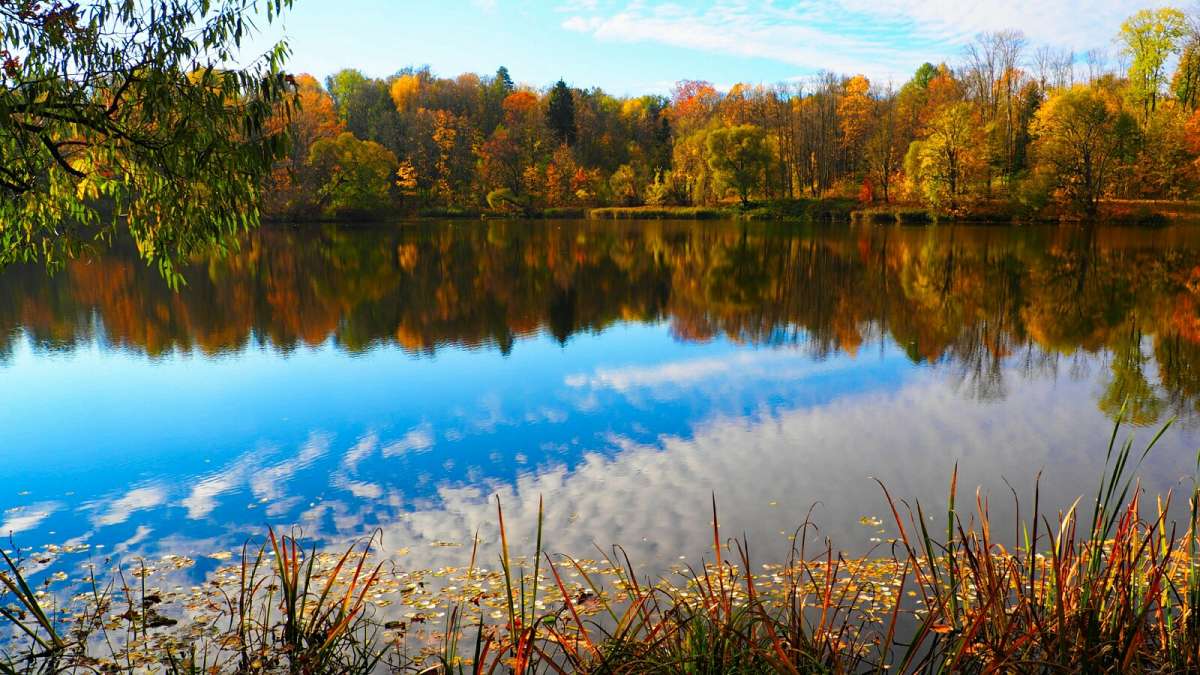 ����� � ������� ����� �������� �������� �� PhotoGeek.ru #������ ��� �������